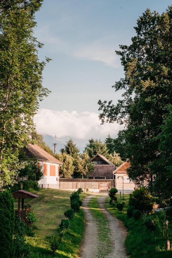 Moara De Piatra Hotell Carta  Exteriör bild