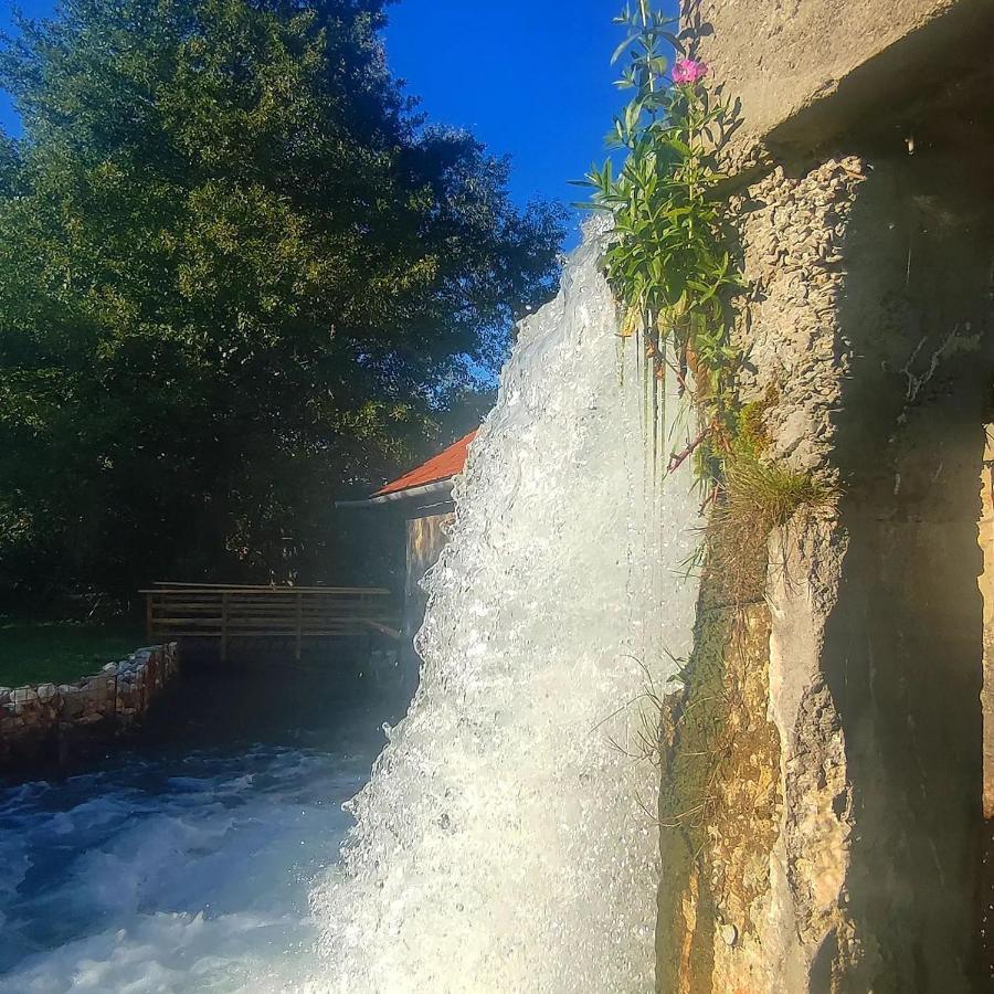 Moara De Piatra Hotell Carta  Exteriör bild